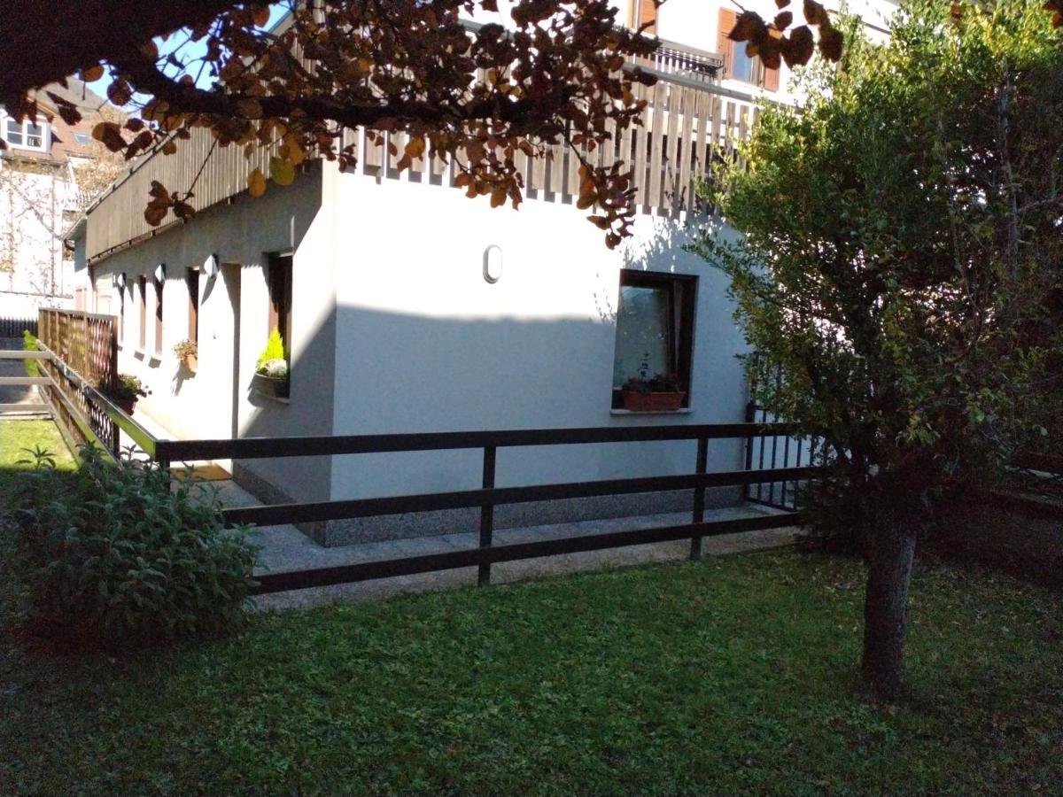 Peters Bolzano